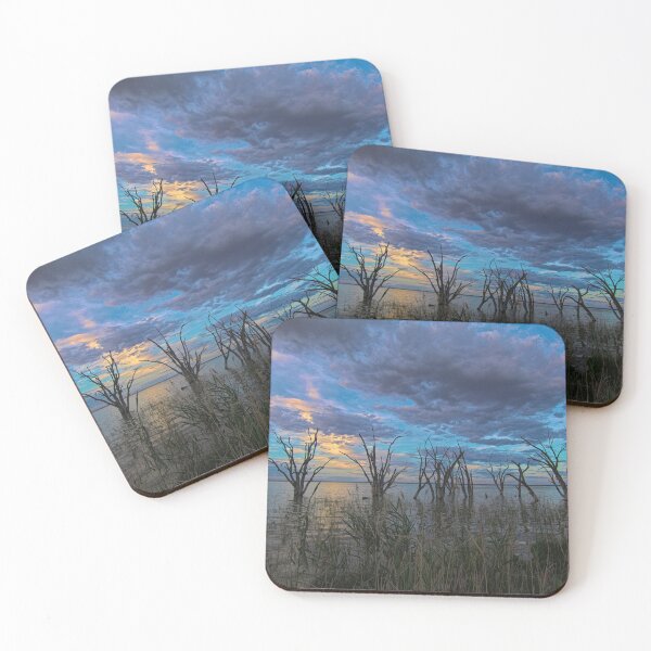 Item preview, Silent Trees designed and sold by DVJPhotography.