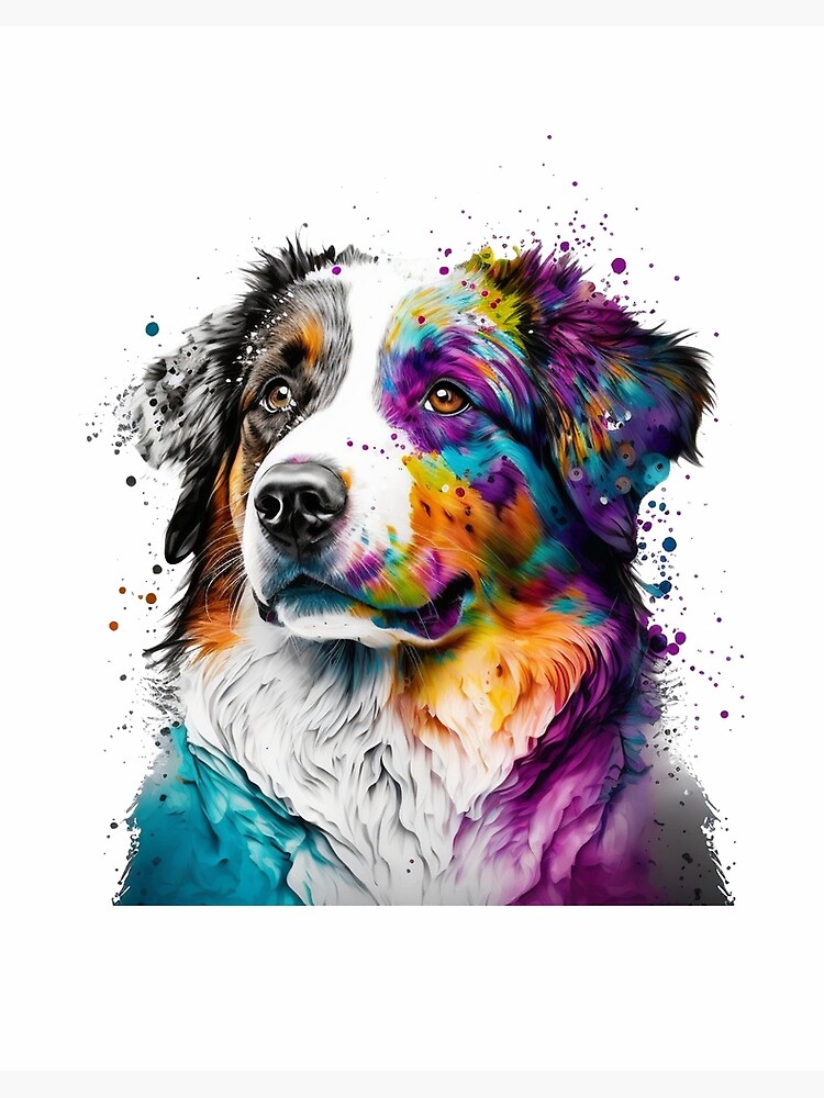 Australian Shepherd Lovers (@aussie.lovers) • Instagram photos and