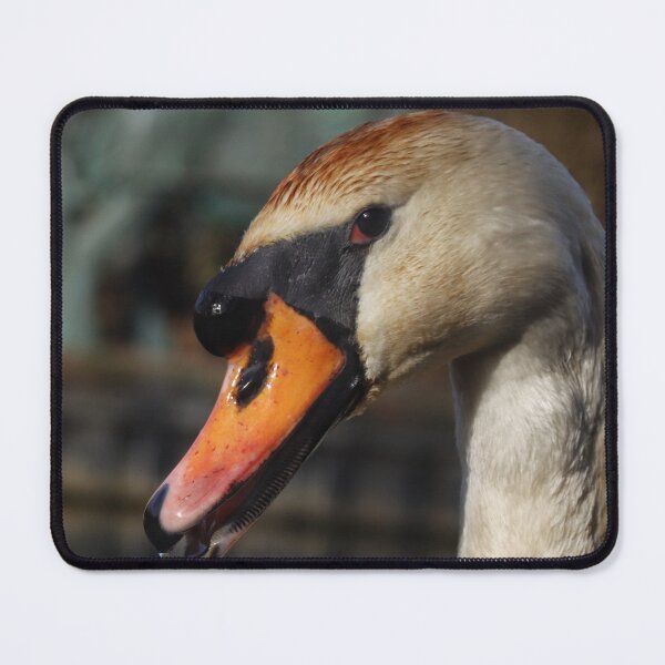 Item preview, That side eye ! designed and sold by CJWoolhead.