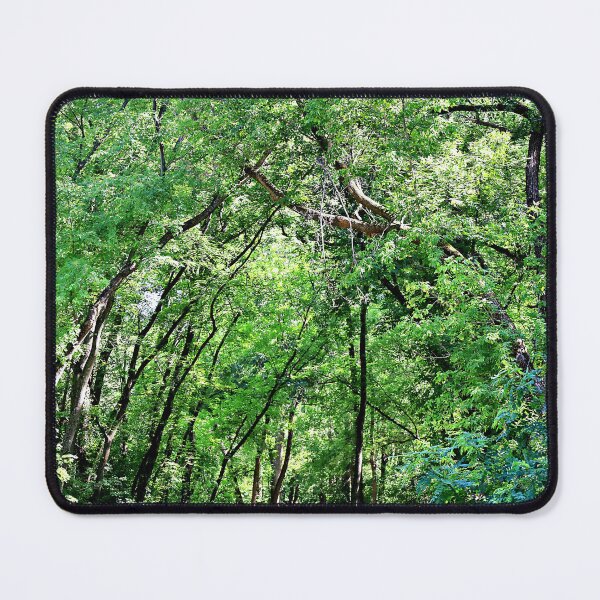 Item preview, Tree Branches Joining Together Over the Path designed and sold by Martha Sherman.