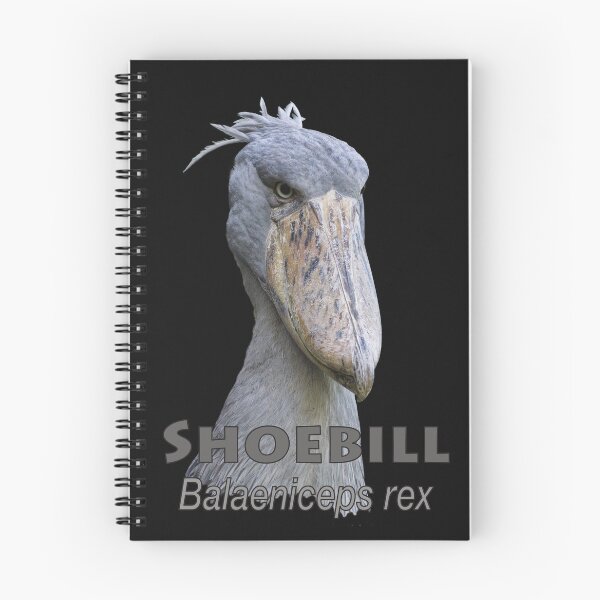 Item preview, Shoebill designed and sold by The Sleepy Monito.
