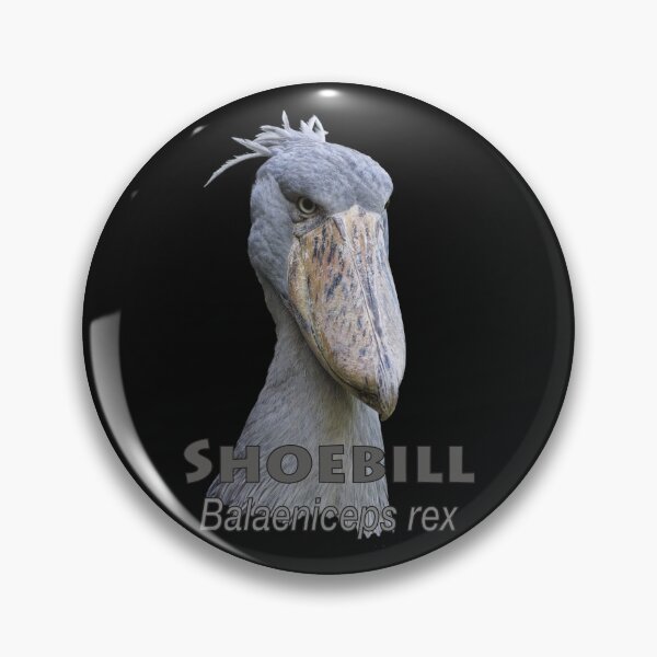 Aperçu de l'œuvre Shoebill créée et vendue par The Sleepy Monito.