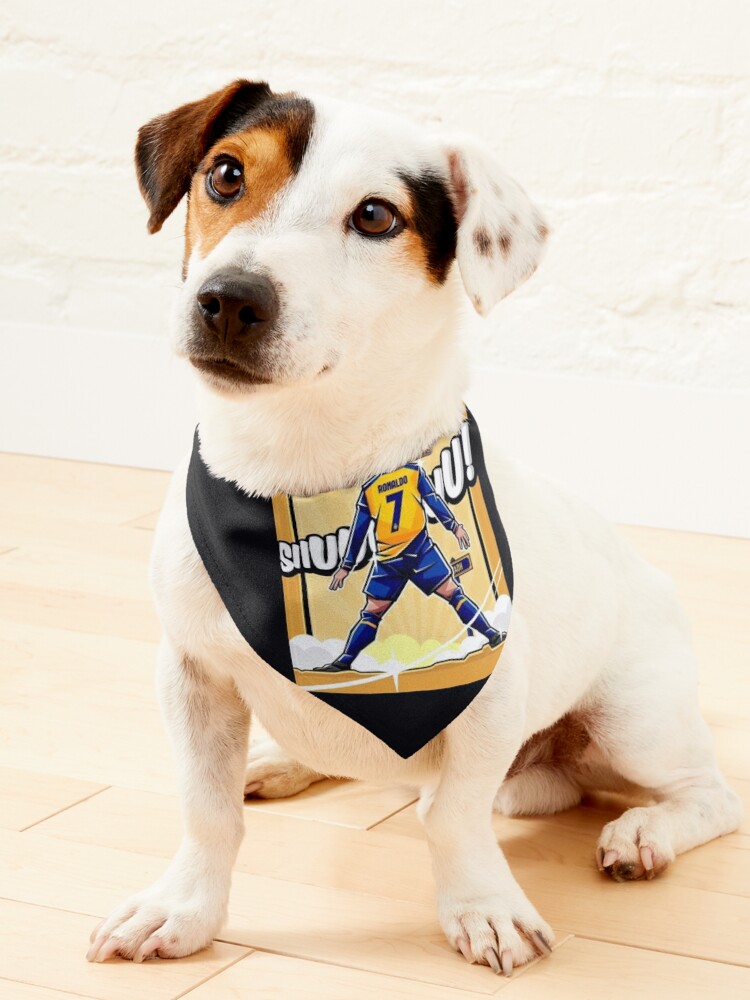 Golden State Warriors Pet Jersey