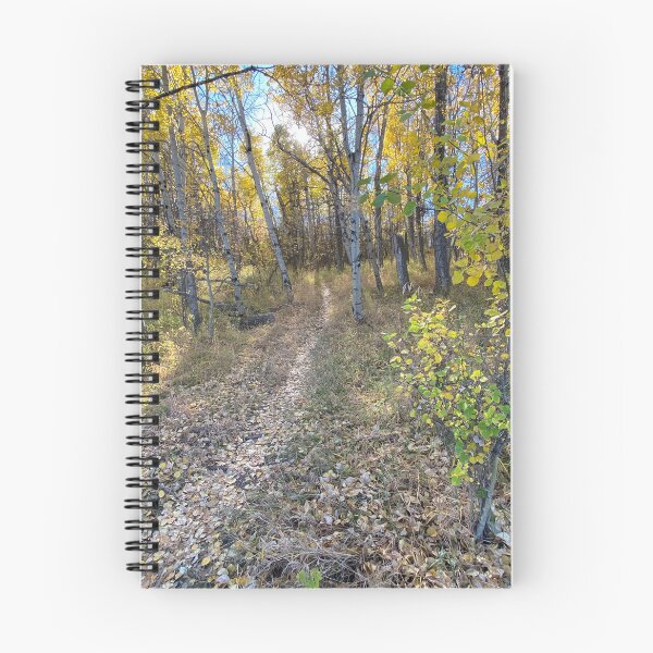 Item preview, Forest Path designed and sold by Image-Prints.