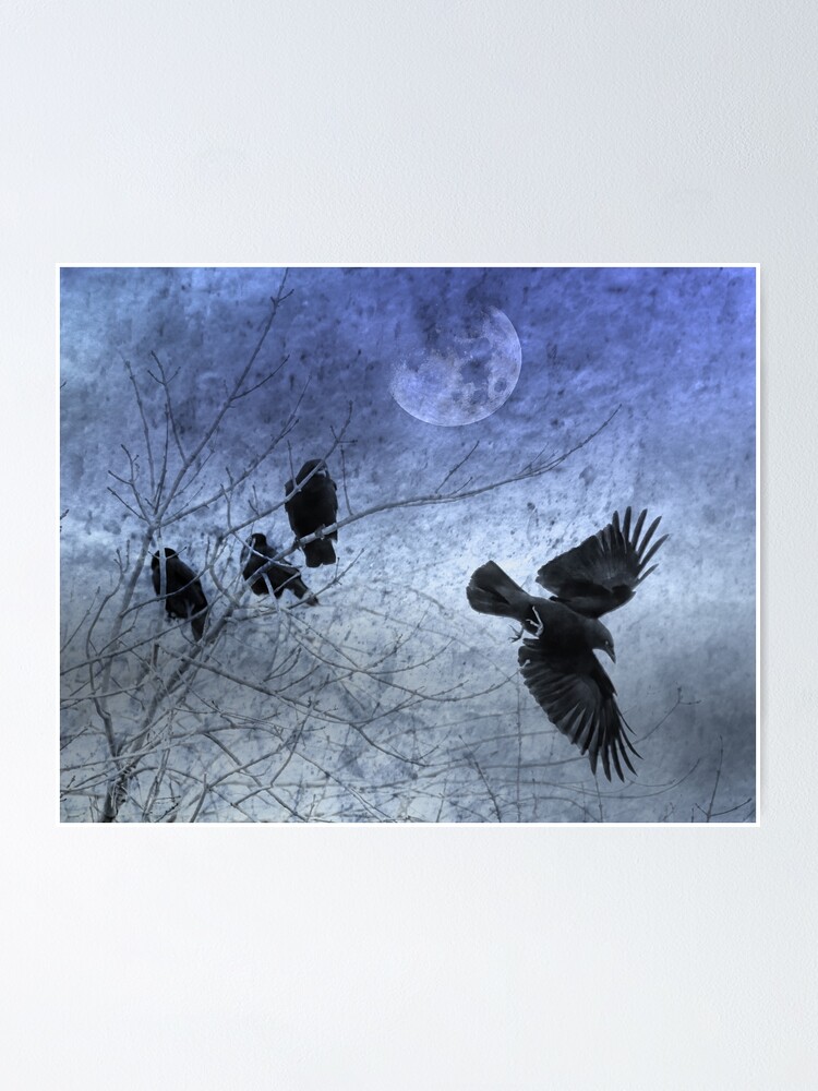 Thumbnail 1 of 3, Poster, Evening Crows designed and sold by CarolM.
