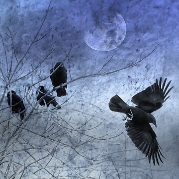 Artwork thumbnail, Evening Crows by CarolM