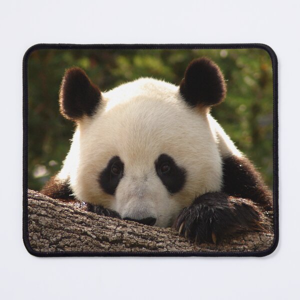 Item preview, Panda designed and sold by ala-of-art.