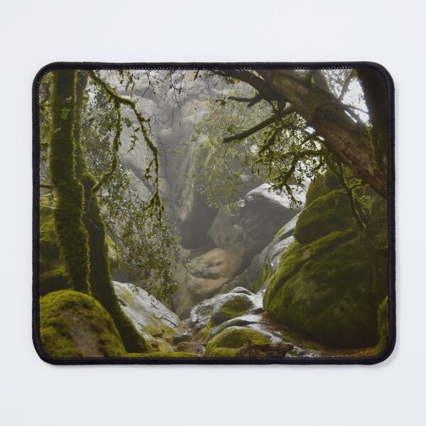 Item preview, vertical spooky woods designed and sold by Ronifish.