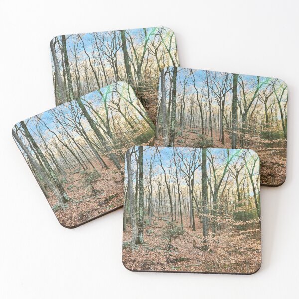 Item preview, Autumn Forest | Nature Landscape Photography designed and sold by Jacqueline Elise.