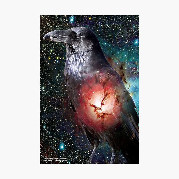 Artikelvorschau, The Raven entworfen und verkauft von arteology.