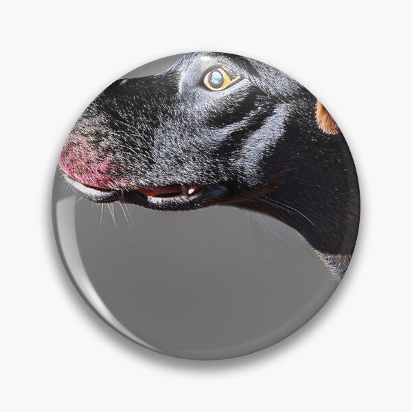Item preview, Canine Portraits: Ariege Pointer designed and sold by DavesDogShop.