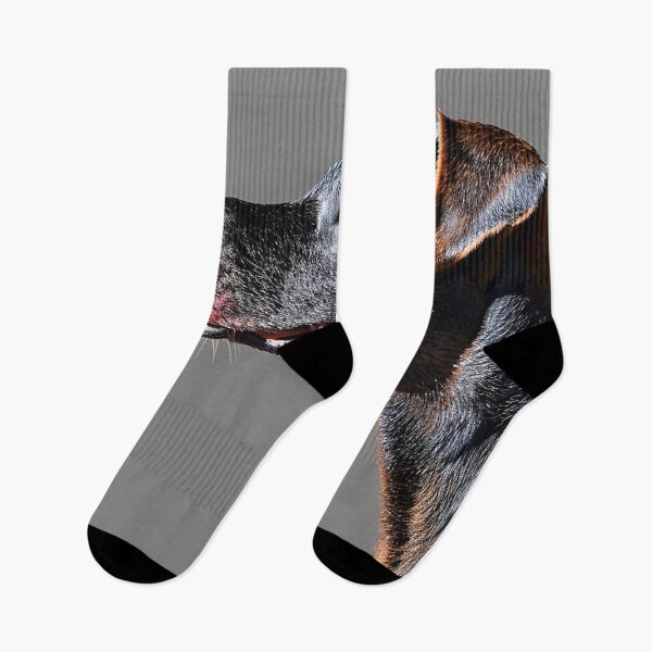 Item preview, Canine Portraits: Ariege Pointer designed and sold by DavesDogShop.