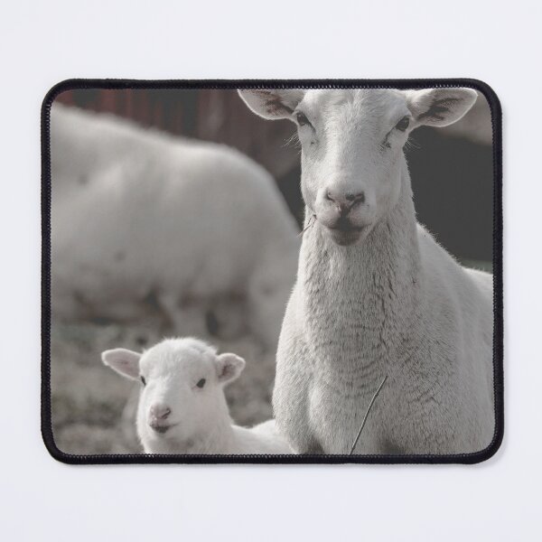 Item preview, Looks Like Mom designed and sold by Jim Love.