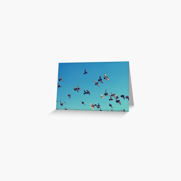 Flight Greeting Card