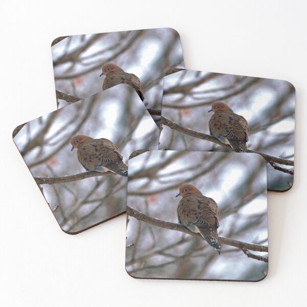 Item preview, Winter Mourning Dove Perched In a Tree designed and sold by BackyardBirder.