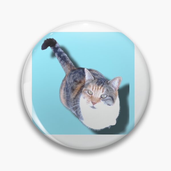 Item preview, My Cat Cali with a baby blue background designed and sold by FrogQueenKira.