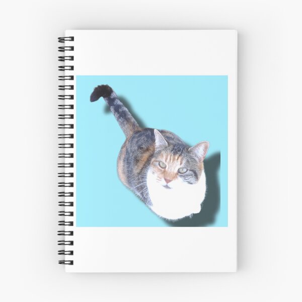 Item preview, My Cat Cali with a baby blue background designed and sold by FrogQueenKira.