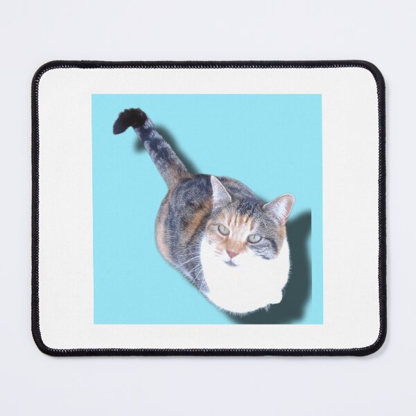 Item preview, My Cat Cali with a baby blue background designed and sold by FrogQueenKira.
