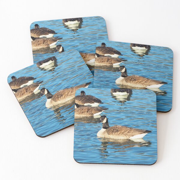 Item preview, Multiple Canadian Geese Swimming - Wild Canada Goose Bird designed and sold by BackyardBirder.