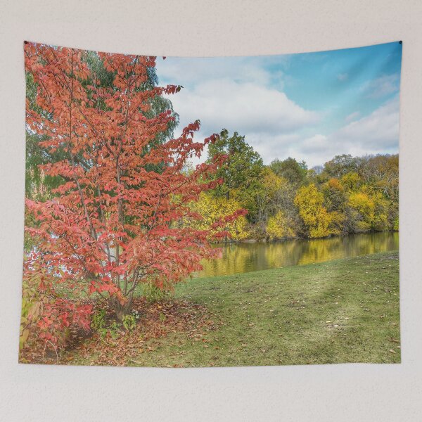Item preview, Central Park - New York designed and sold by Click Action.
