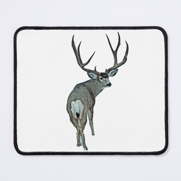 Item preview, Massive mule deer buck designed and sold by Saltypro.