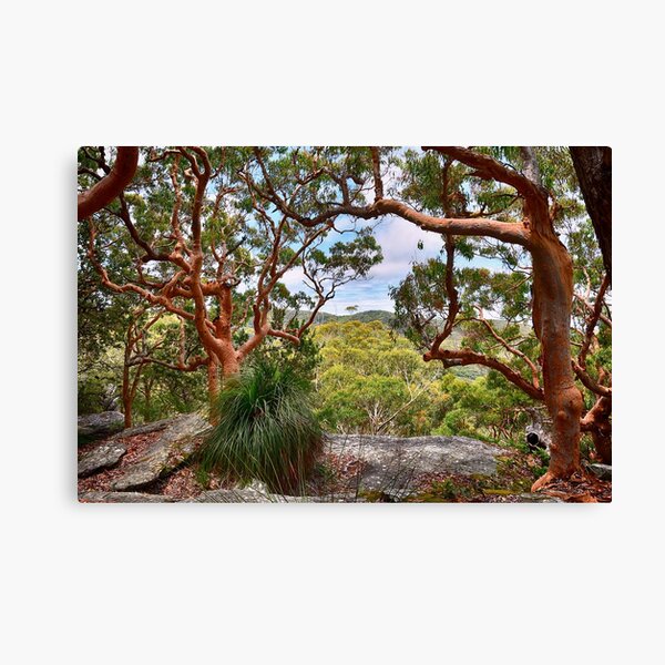 Item preview, At Bouddi National Park designed and sold by andreisky.