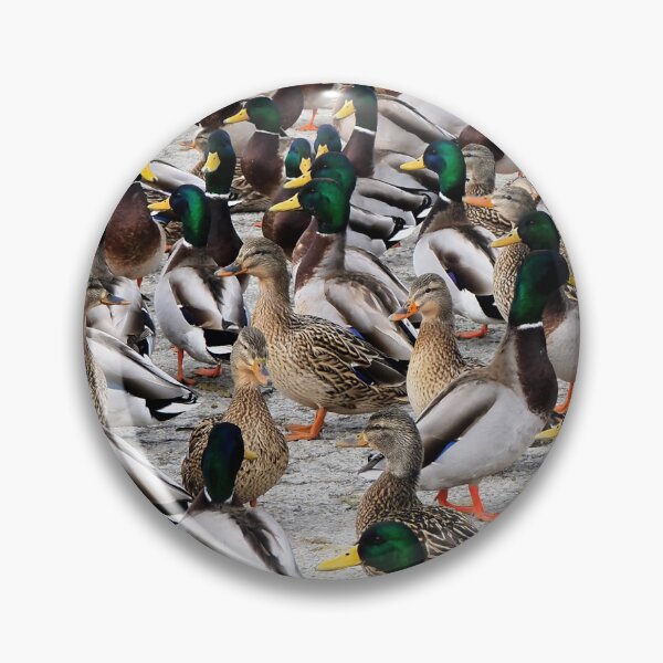 Item preview, Mallard Duck Flock designed and sold by BackyardBirder.