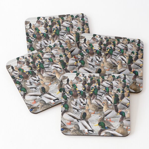 Item preview, Mallard Duck Flock designed and sold by BackyardBirder.