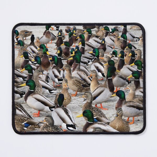 Item preview, Mallard Duck Flock designed and sold by BackyardBirder.