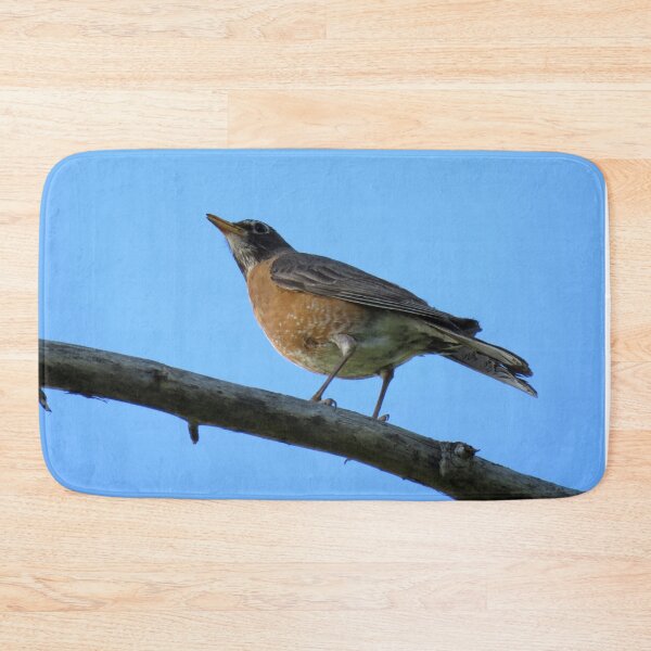 Item preview, American Robin-1 designed and sold by MaryLinH.