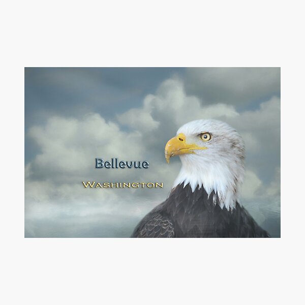 Item preview, Bald Eagle Bellevue WA designed and sold by Elisabeth Lucas.