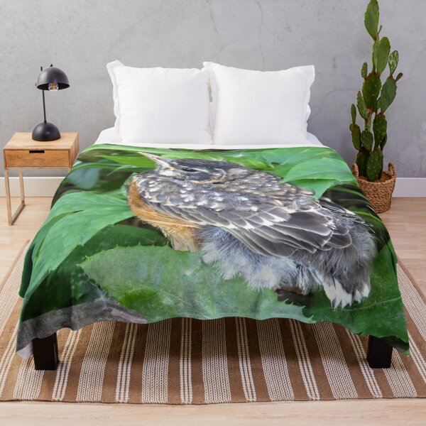 Item preview, American Robin-3 designed and sold by MaryLinH.