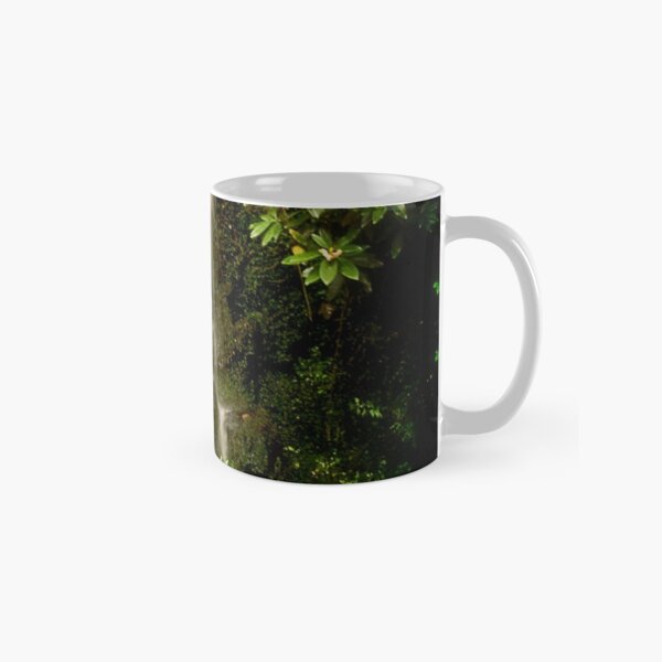 Falls Classic Mug