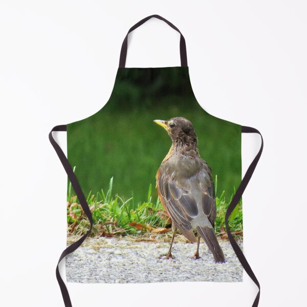 Item preview, American Robin-5 designed and sold by MaryLinH.