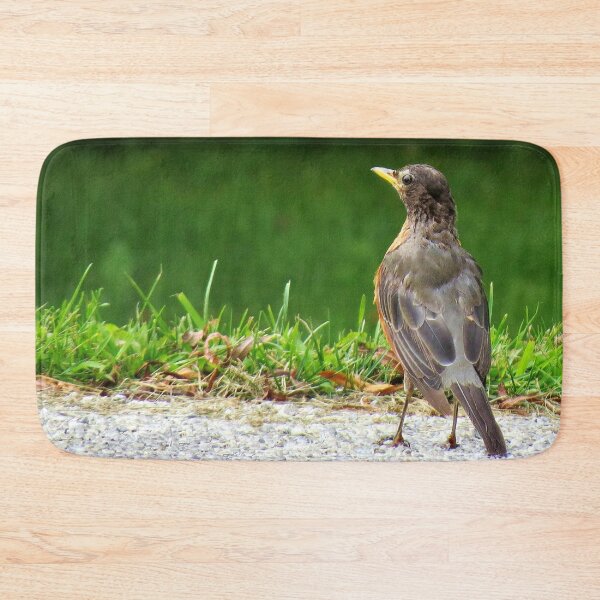Item preview, American Robin-5 designed and sold by MaryLinH.