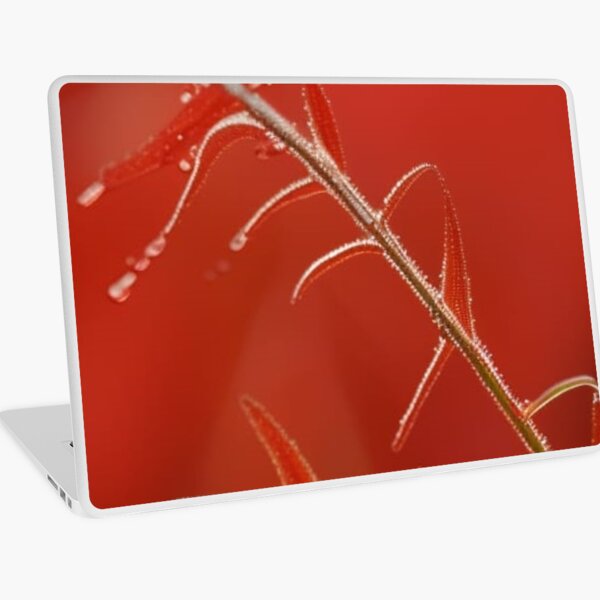 A slightly dewy path. You hit a bush with your shoulder - suddenly on your face Silver dew drips from the leaves. - Artificial intelligence art Laptop Skin