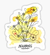 Floral Constellations - Chromatic Aquarius Sticker