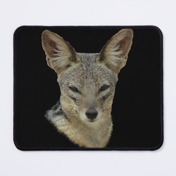 Item preview, Jackal - dog - wild dog in Africa designed and sold by TShirtsundMehr.