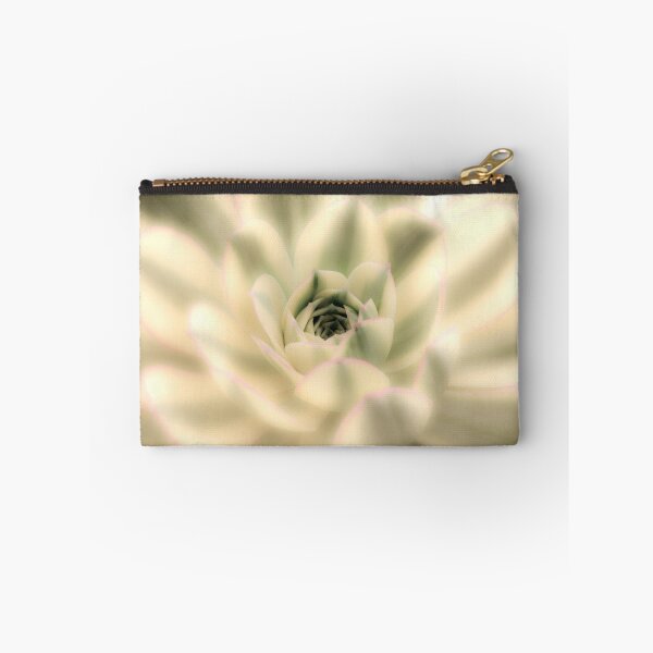 Item preview, Soft Sunburst Succulent designed and sold by Ollivrosa.