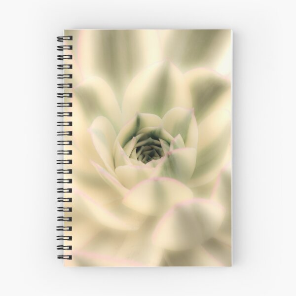 Item preview, Soft Sunburst Succulent designed and sold by Ollivrosa.