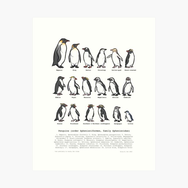 Item preview, Penguin Species designed and sold by Asterwild.