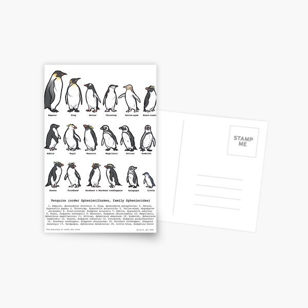 Item preview, Penguin Species designed and sold by Asterwild.