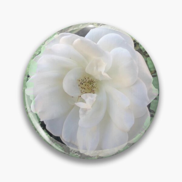 Artikelvorschau, Romantische weiße Rose mit Lime-Spitze von Iritof entworfen und verkauft von iritof.