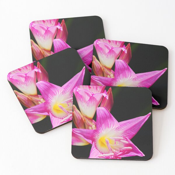 Item preview, Pink White Flowers On Black  designed and sold by Joy Watson - Natural Light Photography .