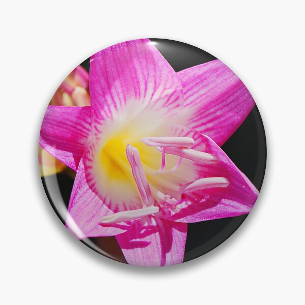 Item preview, Pink White Flowers On Black  designed and sold by Joy Watson - Natural Light Photography .