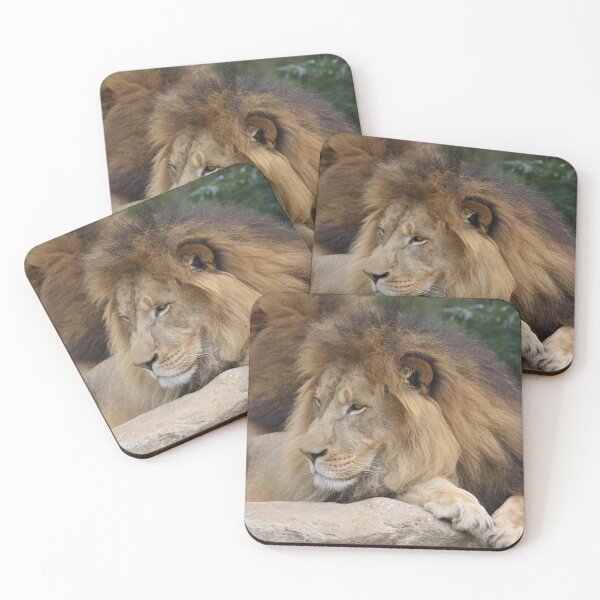 Item preview, Majestic Lion designed and sold by wildphotosbyvis.