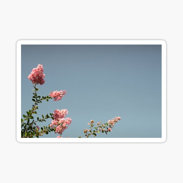 Charm Sticker