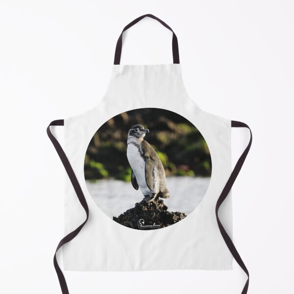 Item preview, Solo Galapagos Penguin in circular cutout designed and sold by SBPenguins.