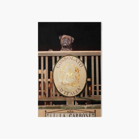 Buongiorno Art Board Print