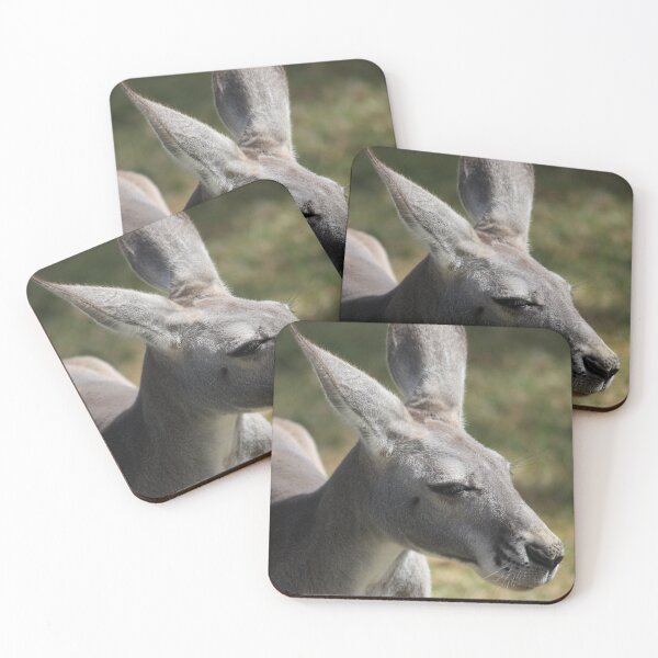 Item preview, Eastern Grey Kangaroo designed and sold by wildphotosbyvis.